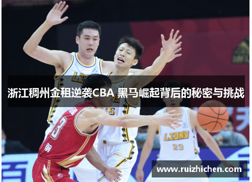 浙江稠州金租逆袭CBA 黑马崛起背后的秘密与挑战