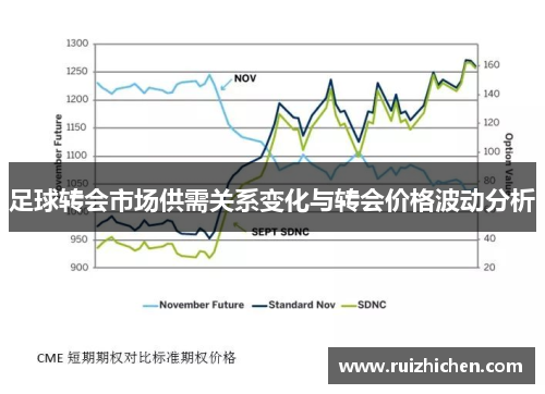 足球转会市场供需关系变化与转会价格波动分析